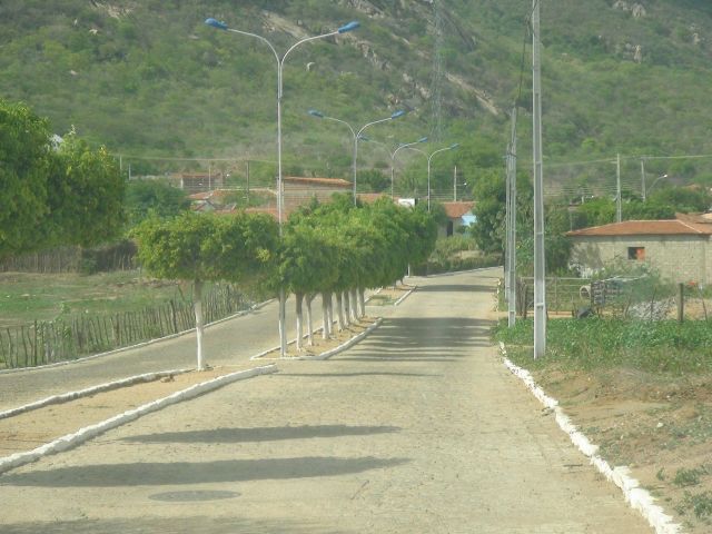 Vieiropolis-04